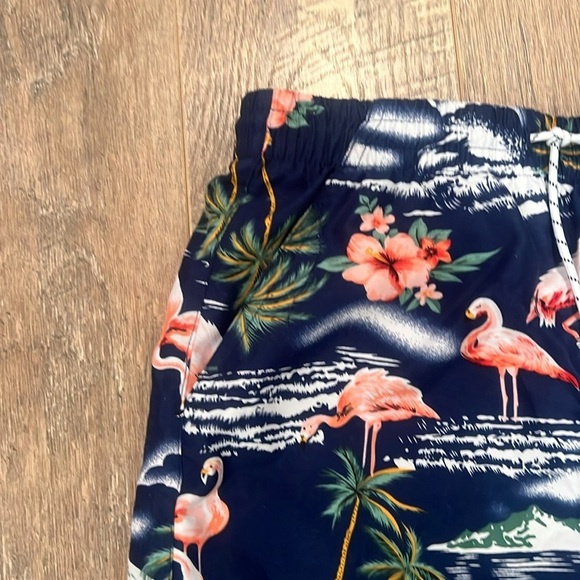 SSLR Boy’s Blue Flamingo Print Swim Short’s Size Large - Picture 3 of 7